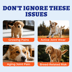 Wellix dog eating hip joint chews during a meal for daily flexibility