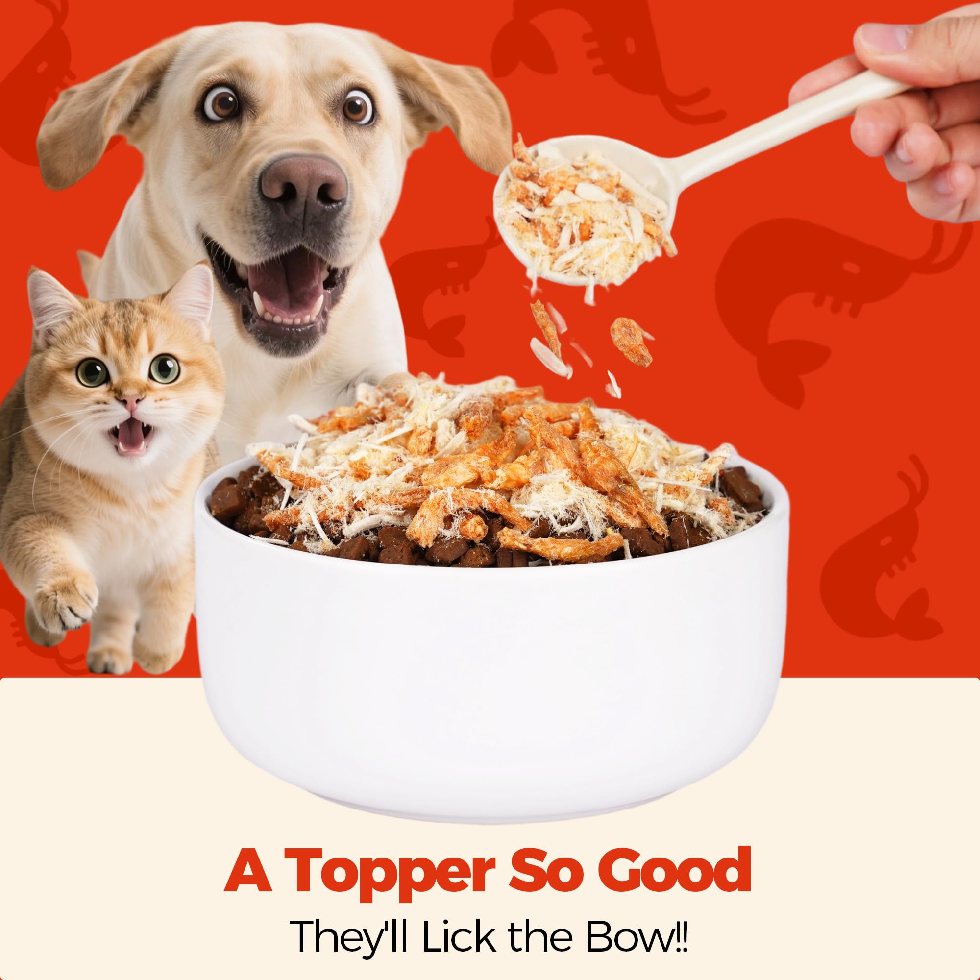 Wellix freeze-dried egg yolk and chicken bites atop kibble demonstrate protein-rich topping.