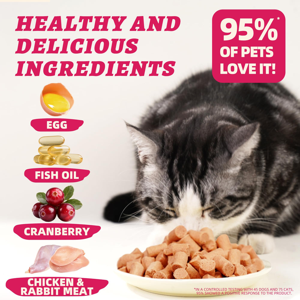 Wellix gato disfruta del topping liofilizado, premio saludable para interiores