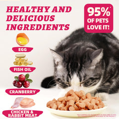 Wellix gato disfruta del topping liofilizado, premio saludable para interiores