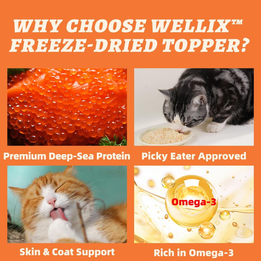 Wellix hip and joint care treats support mobility and activity
