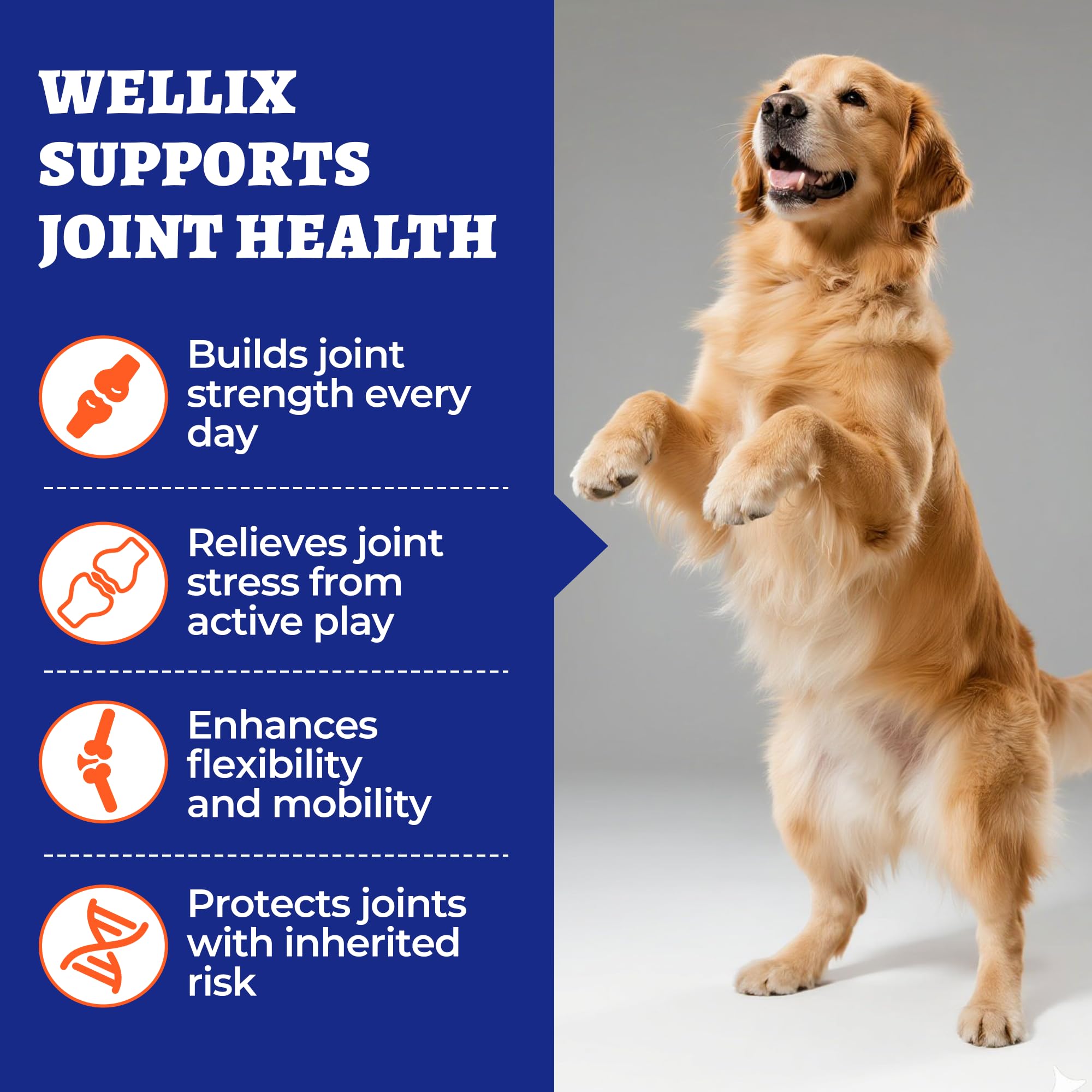 Wellix hip joint chews close-up showing texture and flavor for easy feeding
