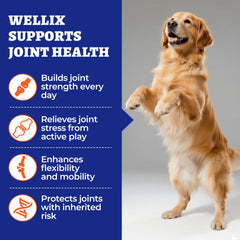 Wellix hip joint chews close-up showing texture and flavor for easy feeding