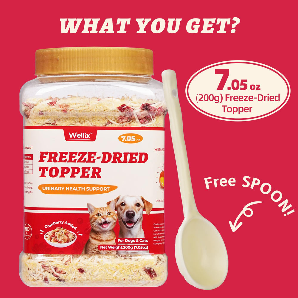 Wellix multi-pet usage shared jar keeps pets satisfied with crunchy low-calorie treats
