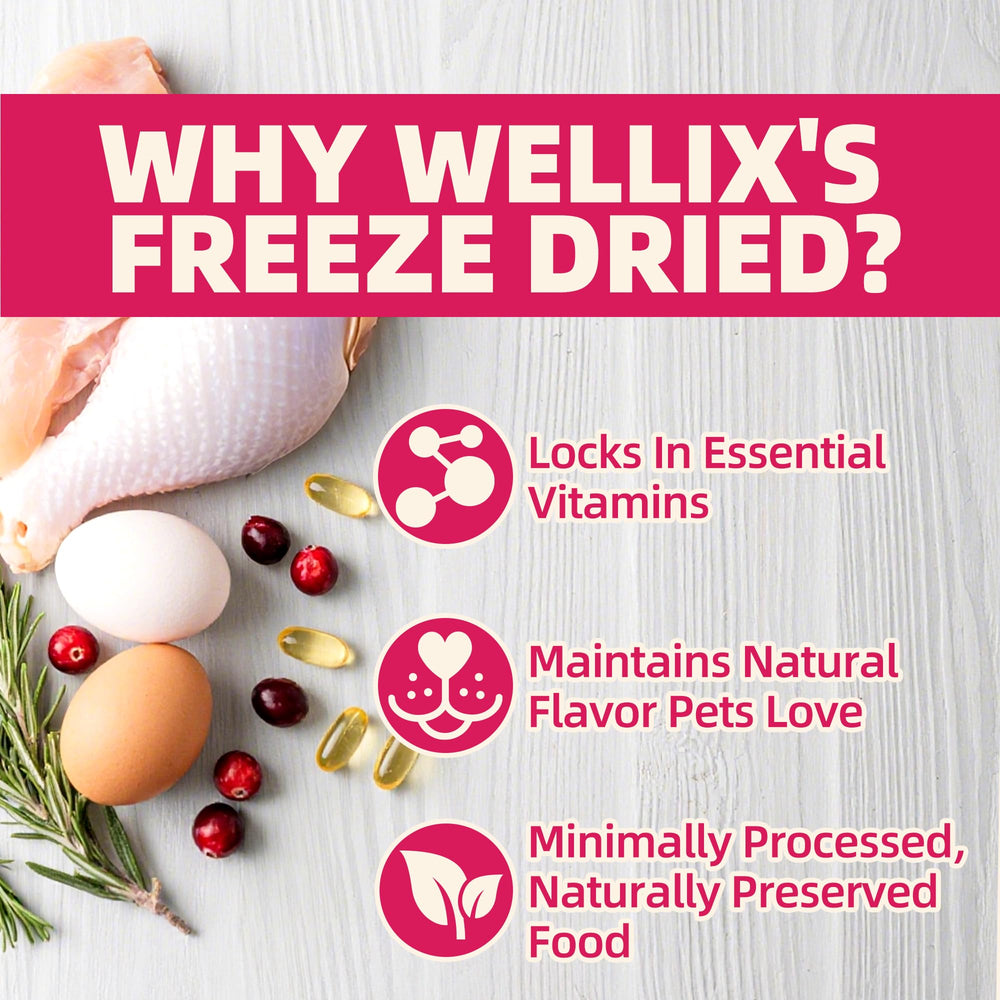 Wellix perro disfruta del topping liofilizado, perfecto para entrenamiento diario