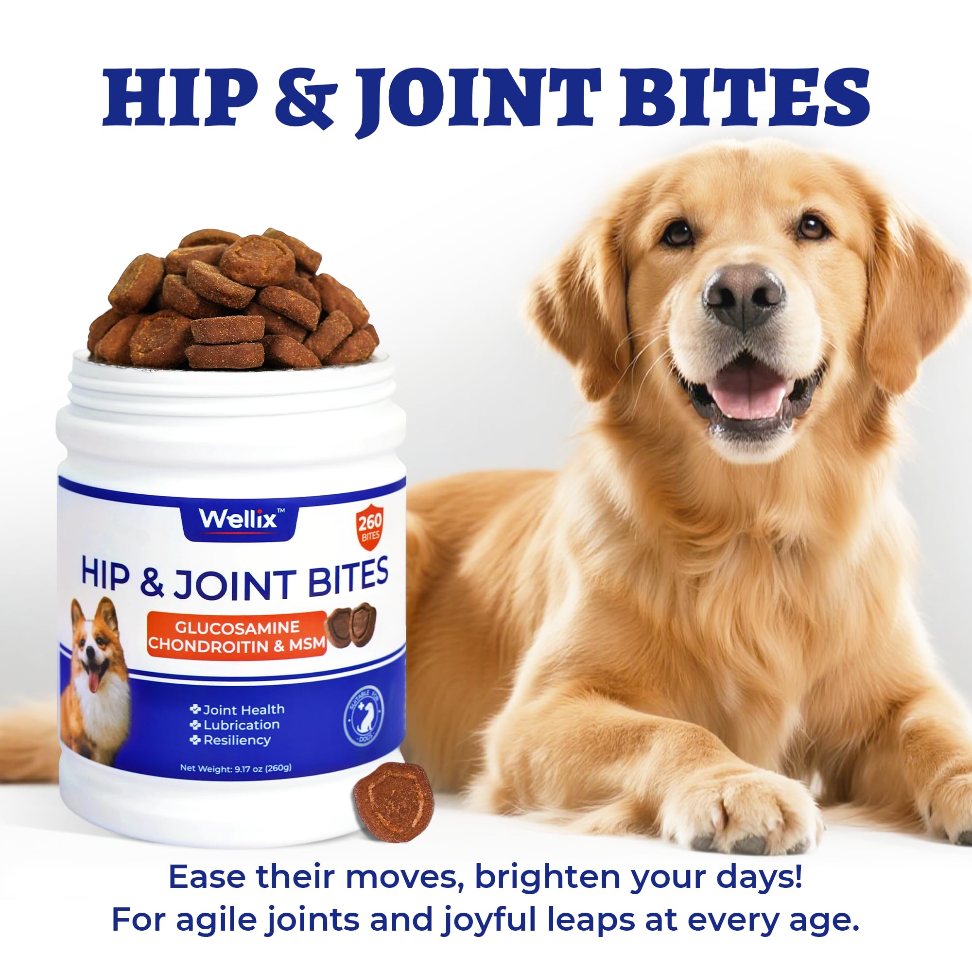Wellix premium hip joint support packaging underscores quality benefits