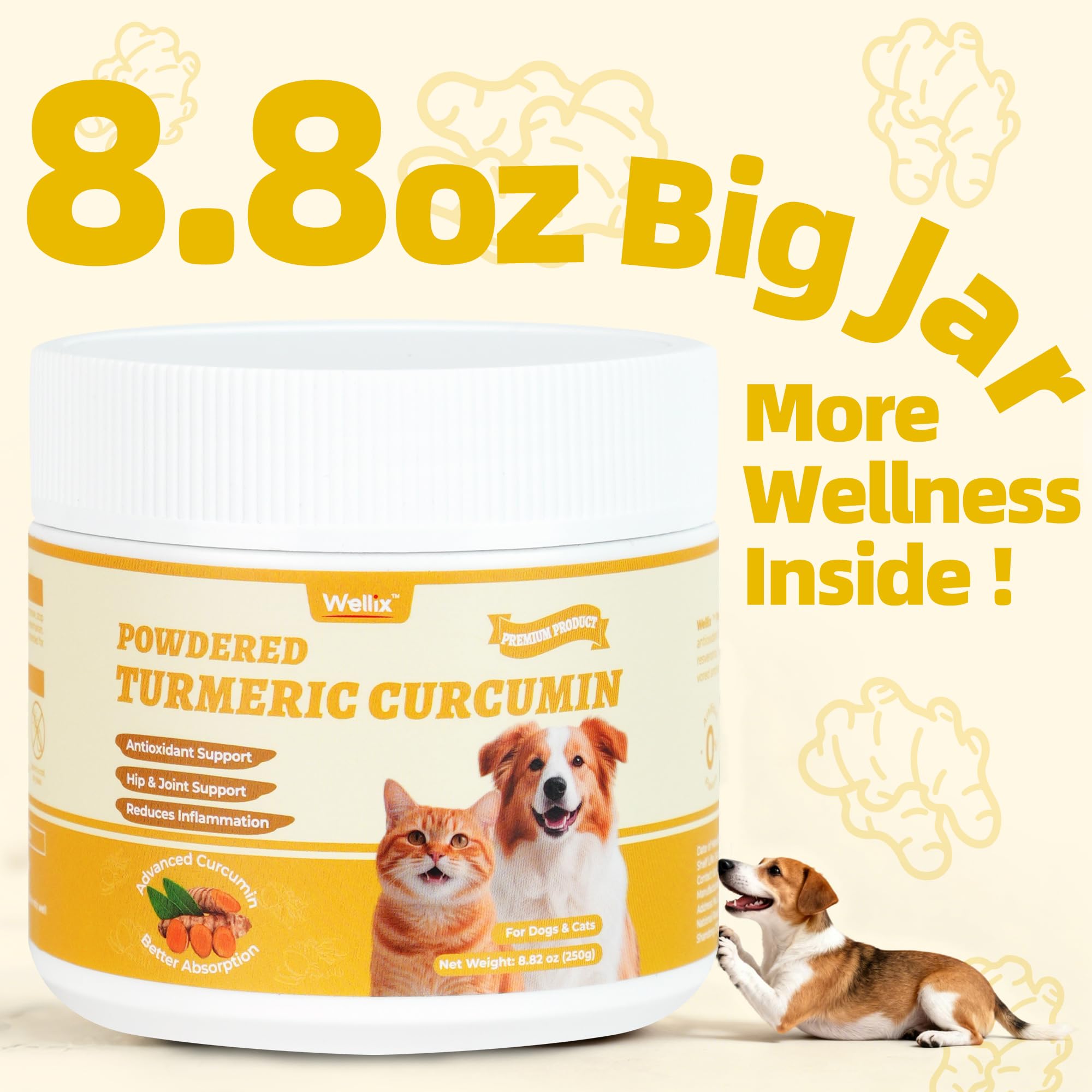 Wellix turmeric ingredients image highlights turmeric, black pepper, and coconut oil for absorption.