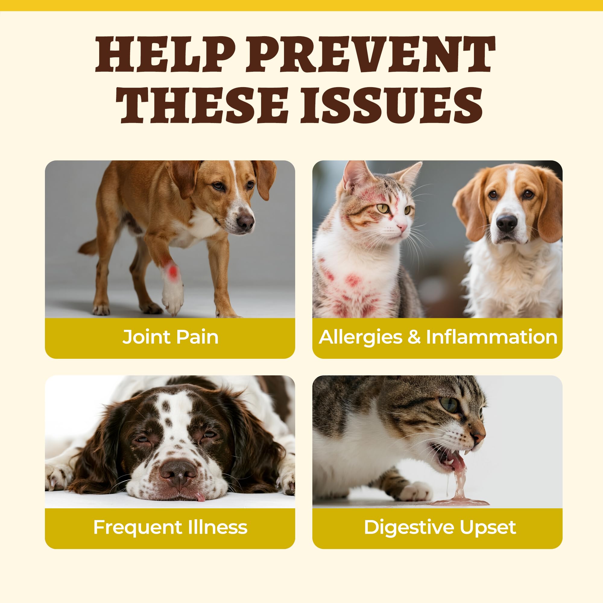 Pet enjoys Wellix-infused meals, encouraging consistent daily supplementation.