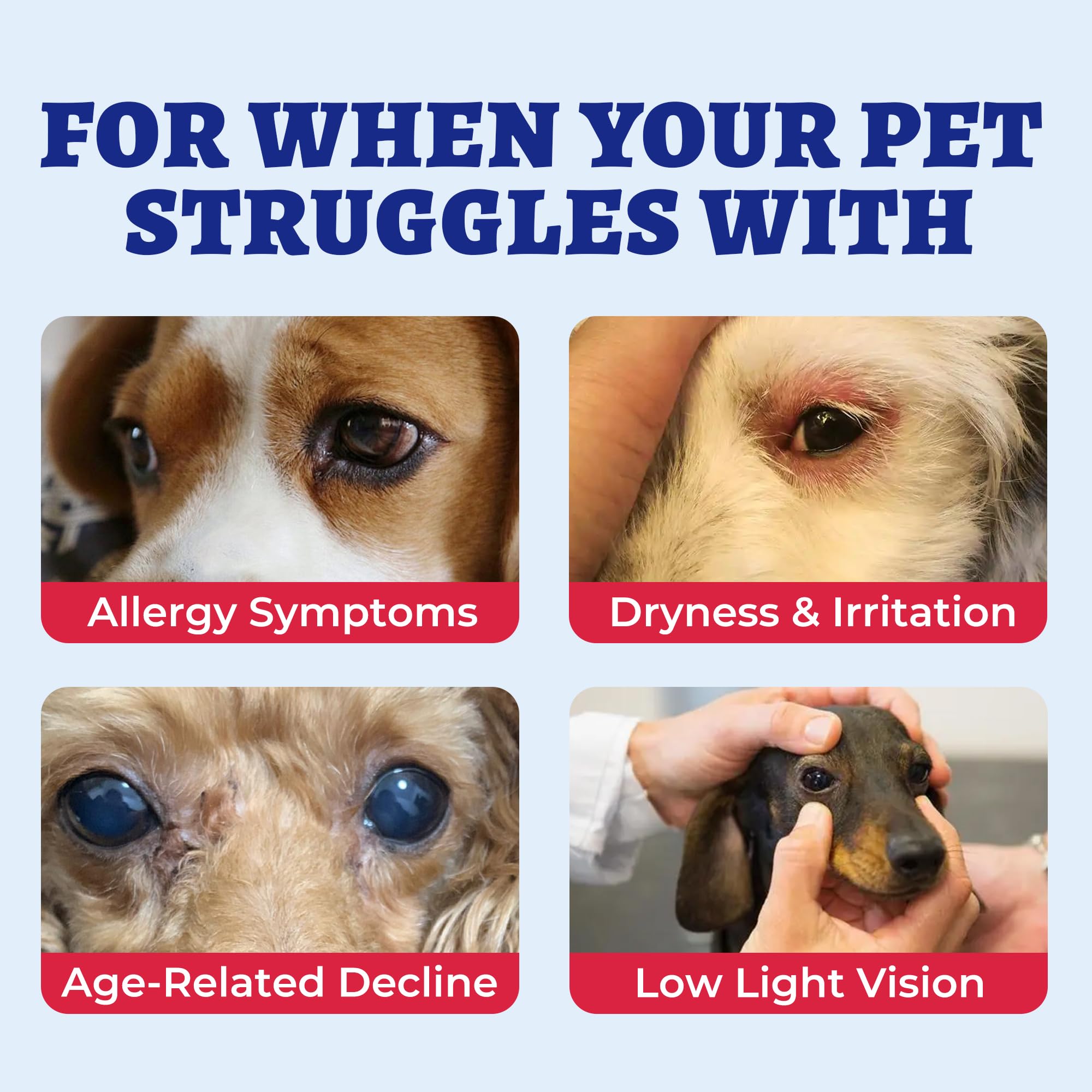 Wellix lutein marshmallow root formula supports canine eye wellness.