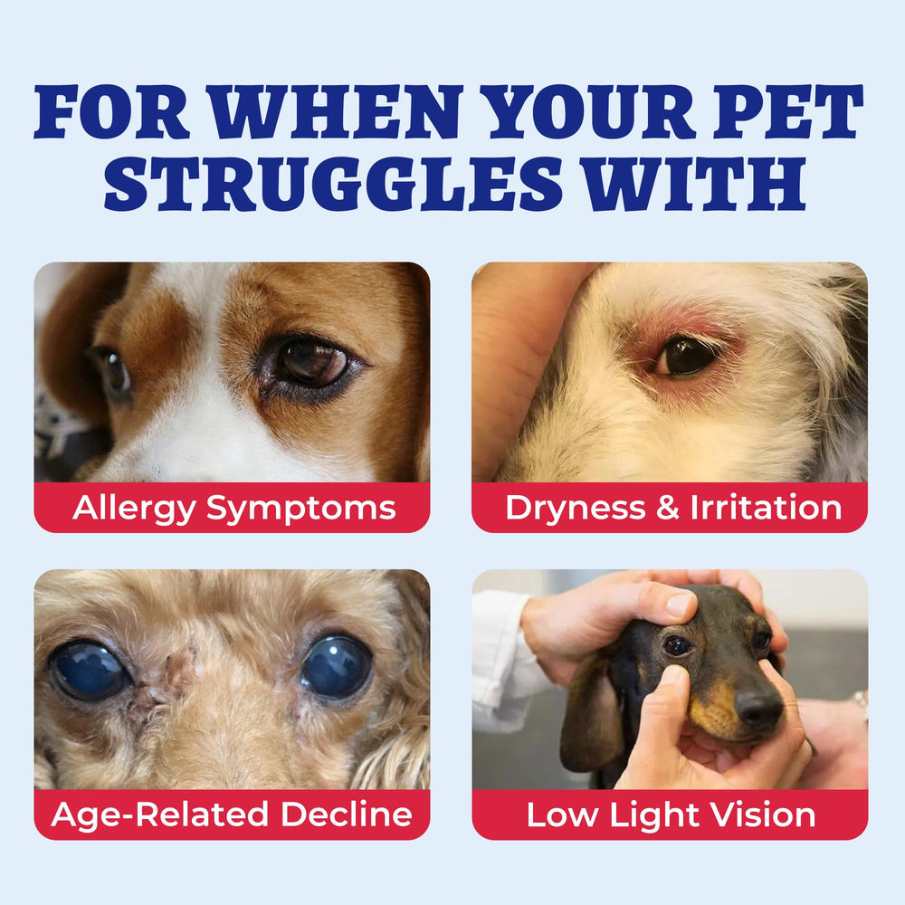 Wellix lutein marshmallow root formula supports canine eye wellness.