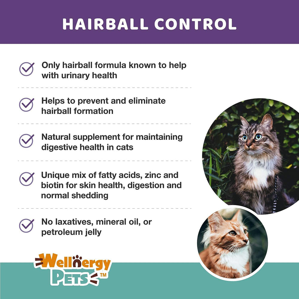 Arándano para salud urinaria en gatos con Wellnergy Pets