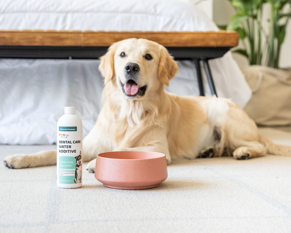 Wellnergy Pets no-brush formula highlights easy dental care without brushing.