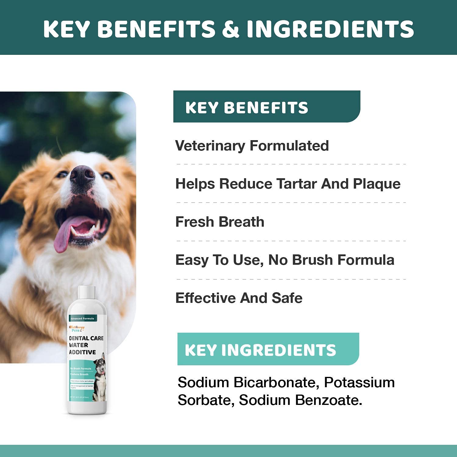 Wellnergy Pets veterinary-formulated solution supports dental health safely.