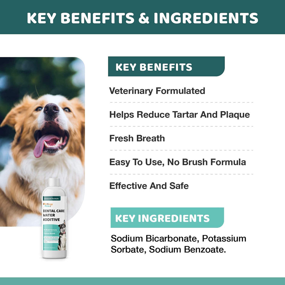 Wellnergy Pets veterinary-formulated solution supports dental health safely.