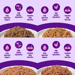 Wellness cat wet food pate chicken can closeup promotes flavorful protein for daily meals.