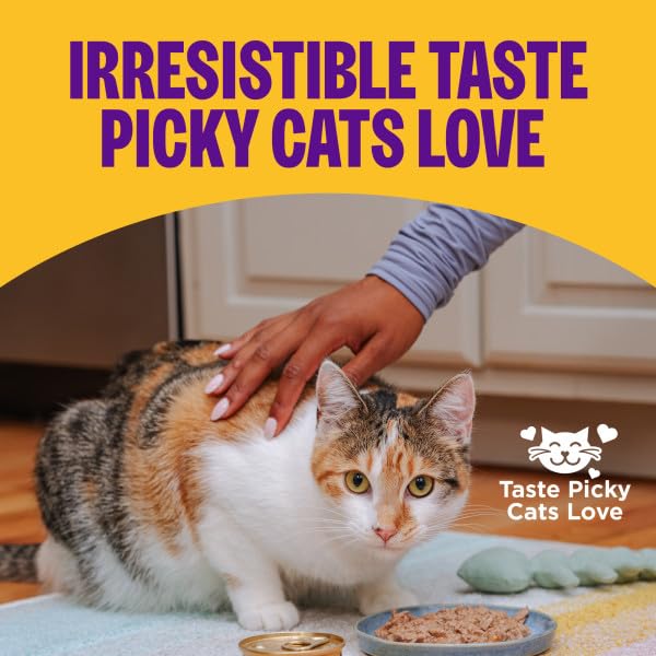 Wellness cat wet food pate serving bowl demonstrates easy-open convenience.