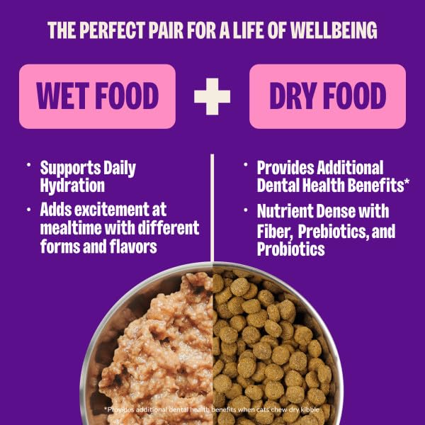 Wellness cat wet food pate turkey can serving bowl shows convenient daily meal.