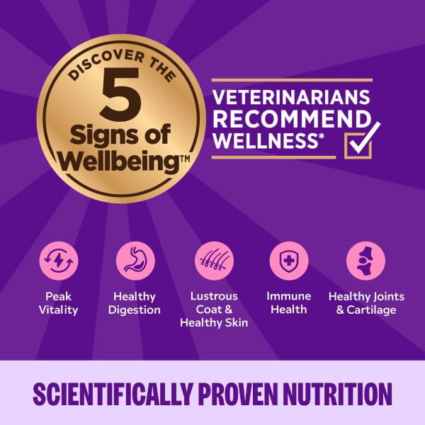 Wellness cat wet food pate variety pack label conveys 4 flavorful options.