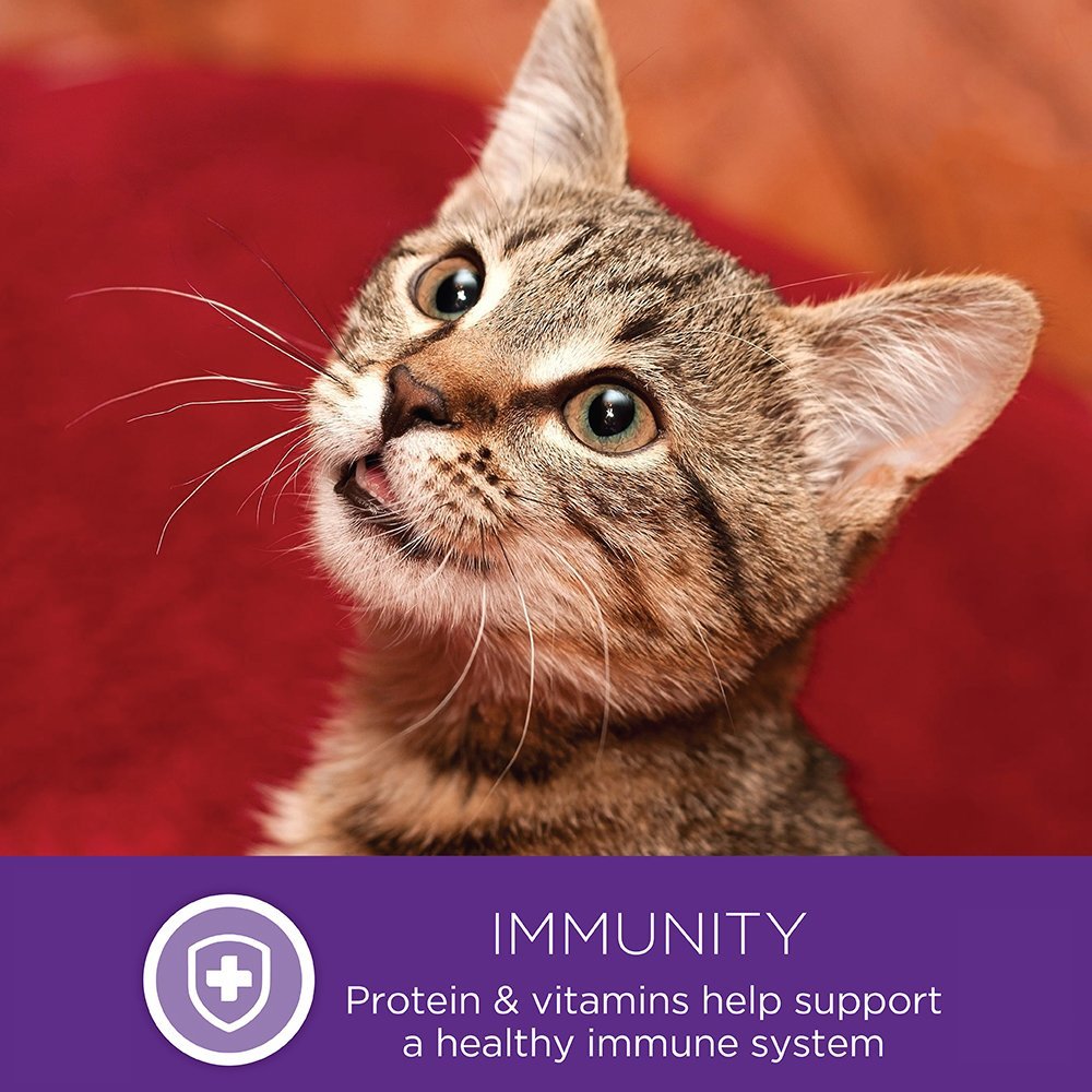 Wellness Kittles empaque y detalles del producto para compra informada