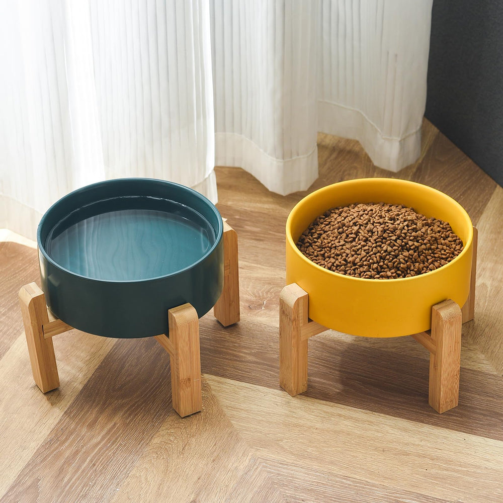 Welloyed green ceramic bowl adds modern style to pet feeding area.