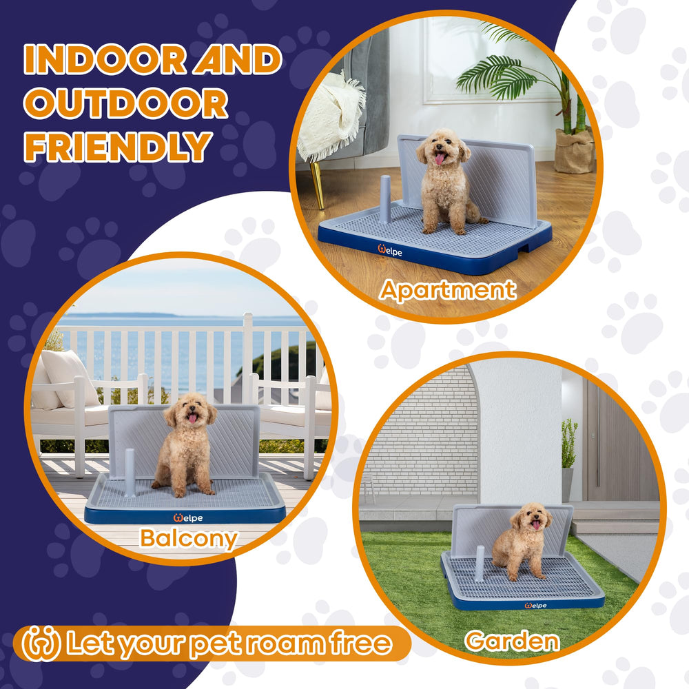 Welpe dog potty tray suits dogs of all ages, including seniors and puppies.