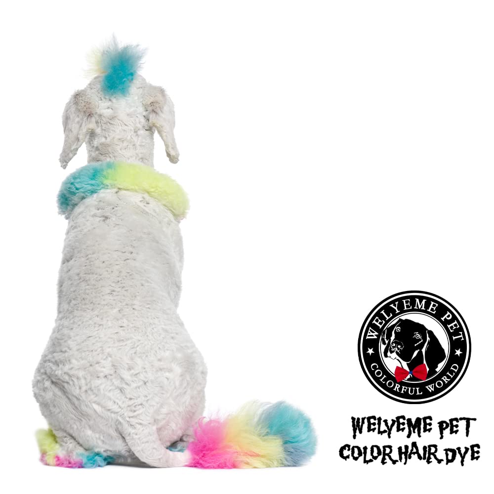 WELYEME pet-safe dye for dogs and cats highlights non-toxic formula for gentle coloring.