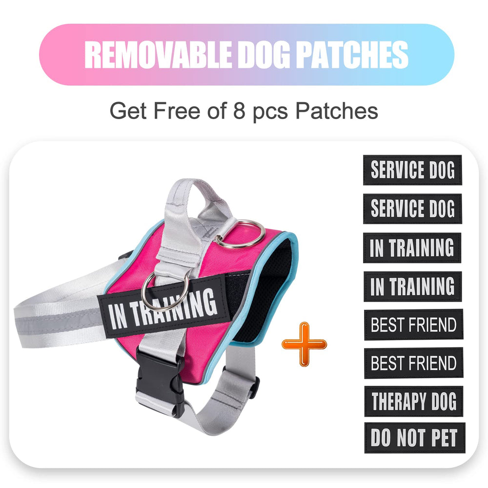 WENDISI durable Oxford fabric harness offers a secure, comfortable fit for dogs of all sizes.
