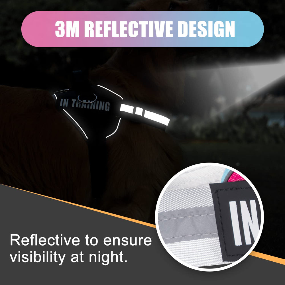 WENDISI reflective coverage enhances nighttime visibility from multiple angles.