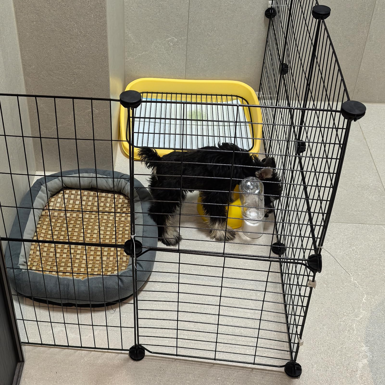 Wensdr dog playpen metal coating resists wear in any setting.