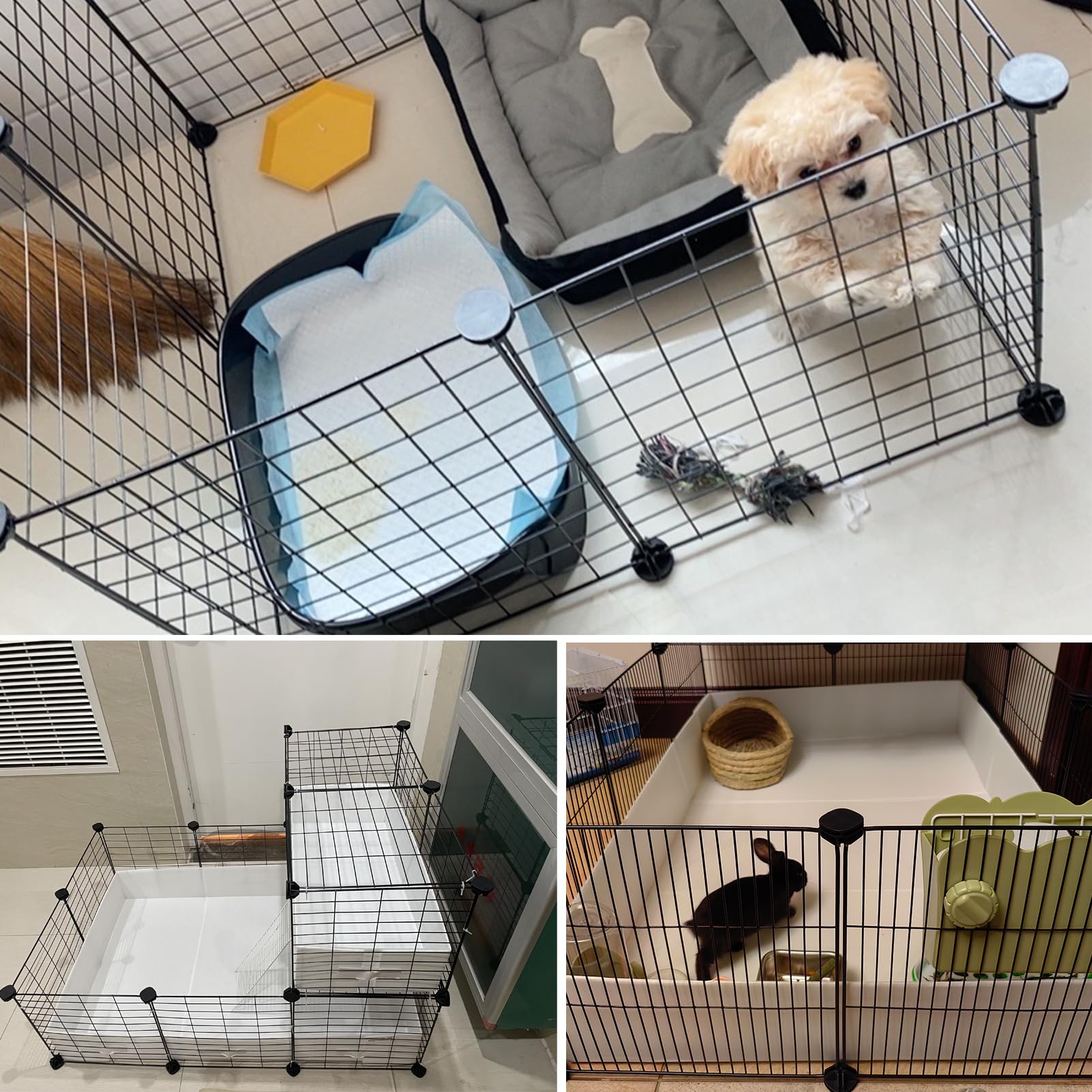 Wensdr pets inside playpen enjoy secure containment.