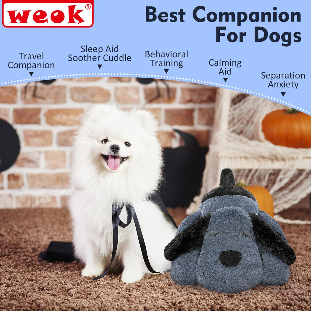 WEOK Heartbeat toy crate-training scene with puppy