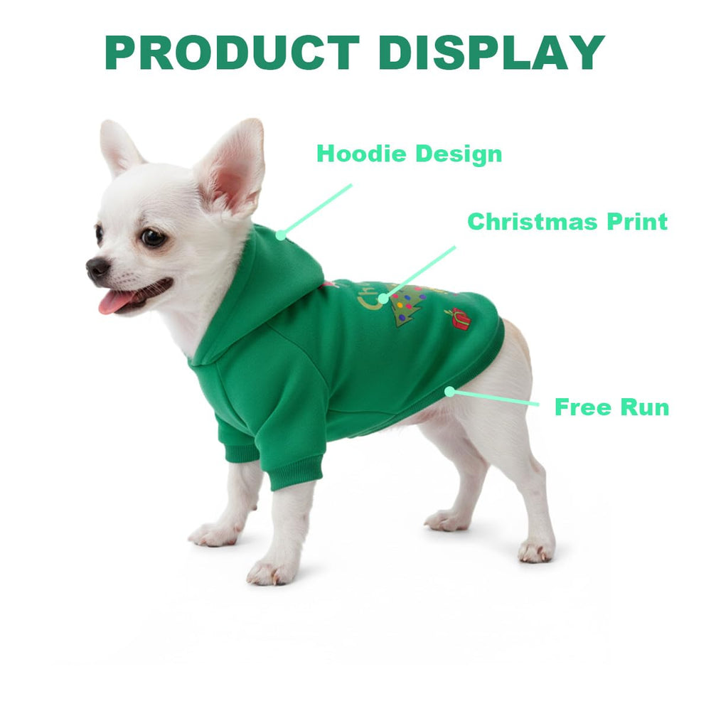 WEORGANIZE small-dog hoodie model demonstrates a comfy, fit-friendly design.