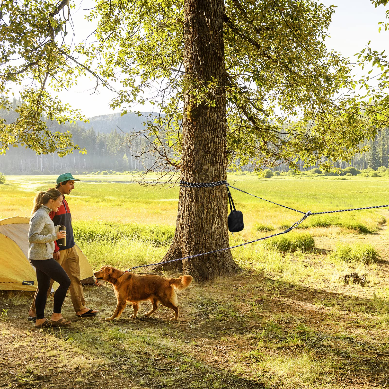 Weraher dog camping setup in yard demonstrates ready-to-go outdoor gear.