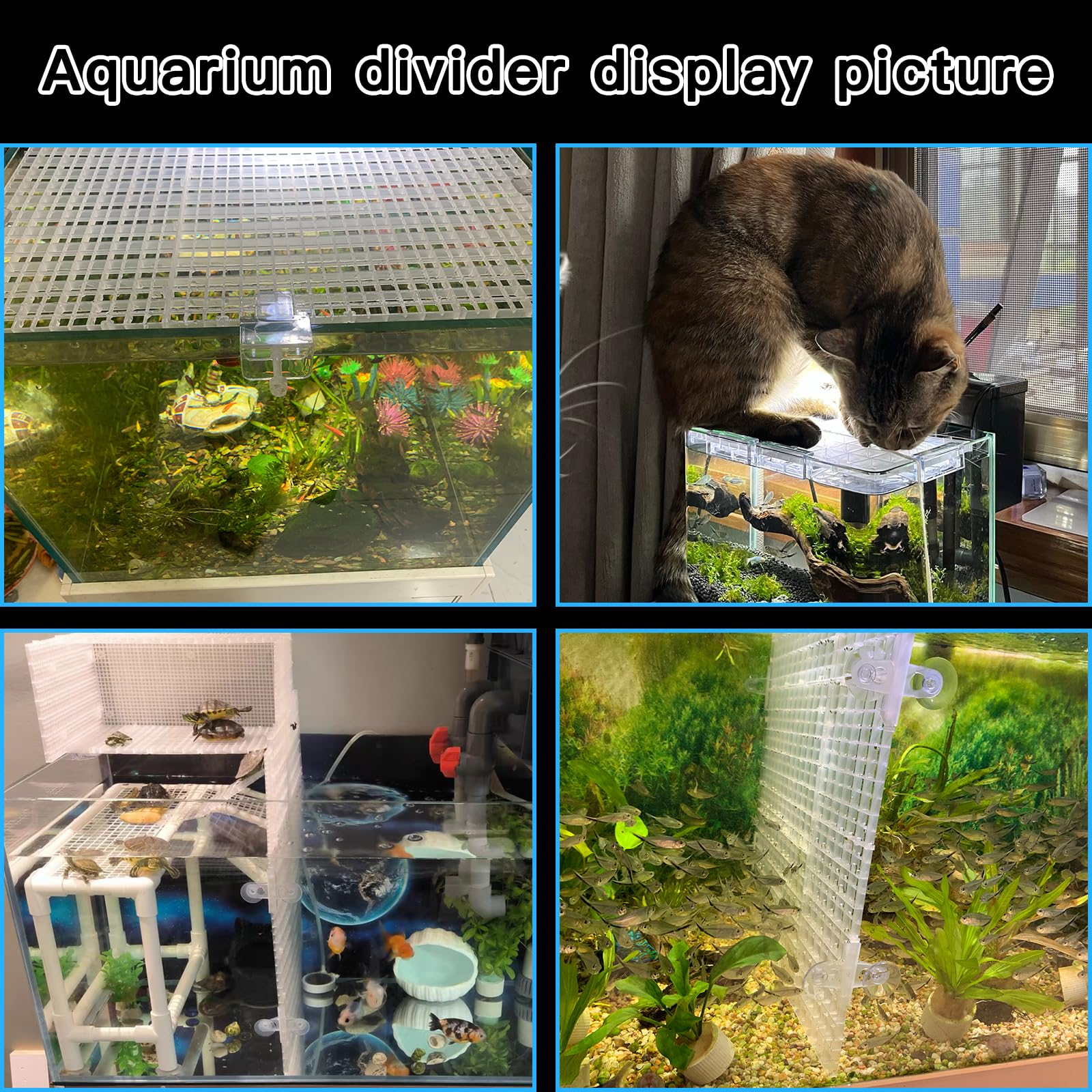 Weramics adjustable panels can be cut to fit any aquarium shape.