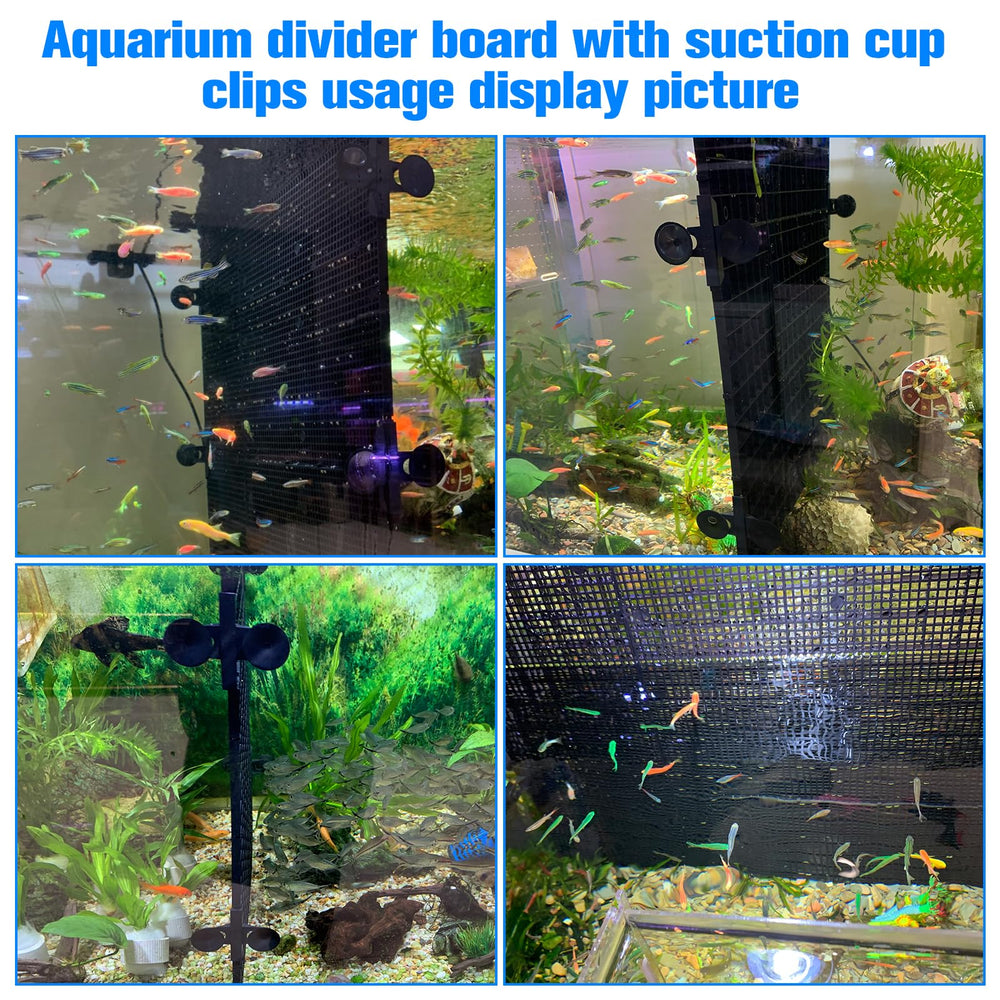 Weramics durable divider materials resist bending for long-term aquarium use.