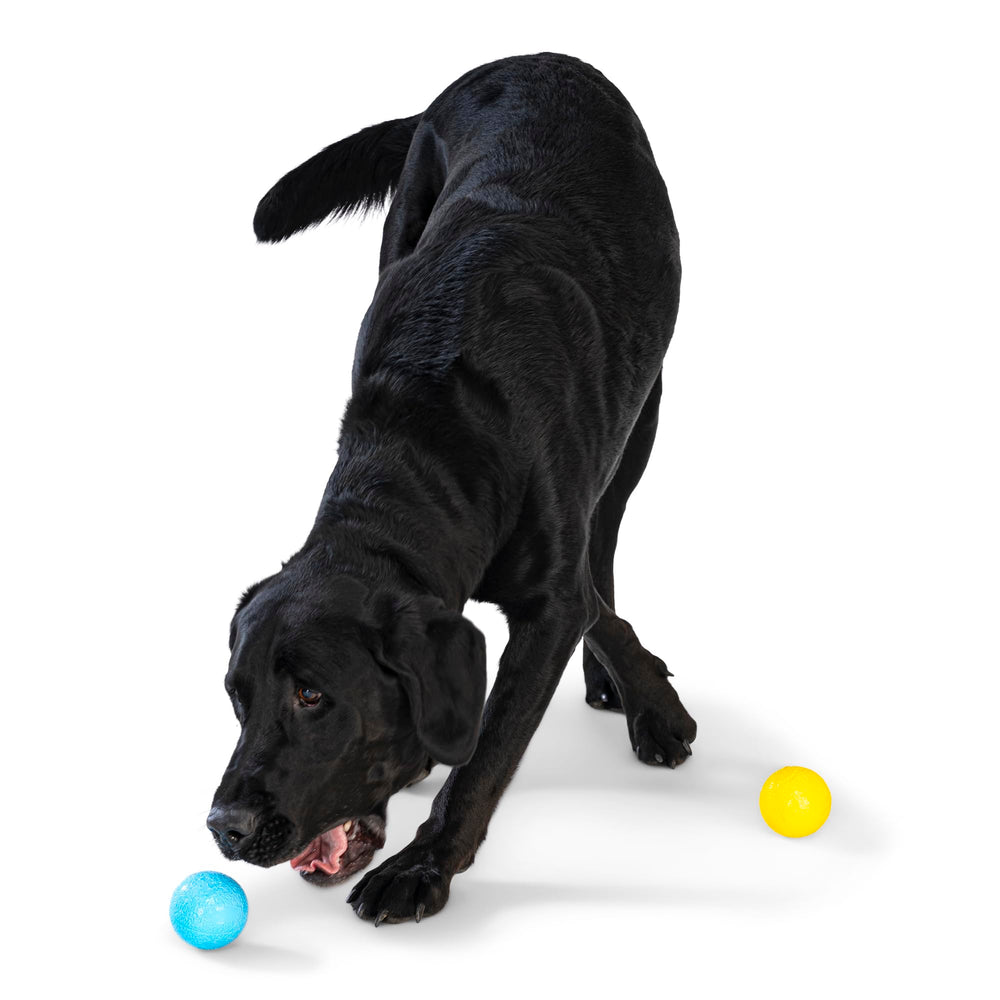 West Paw Boundr Ball made in USA from recycled materials for safe, reliable play.