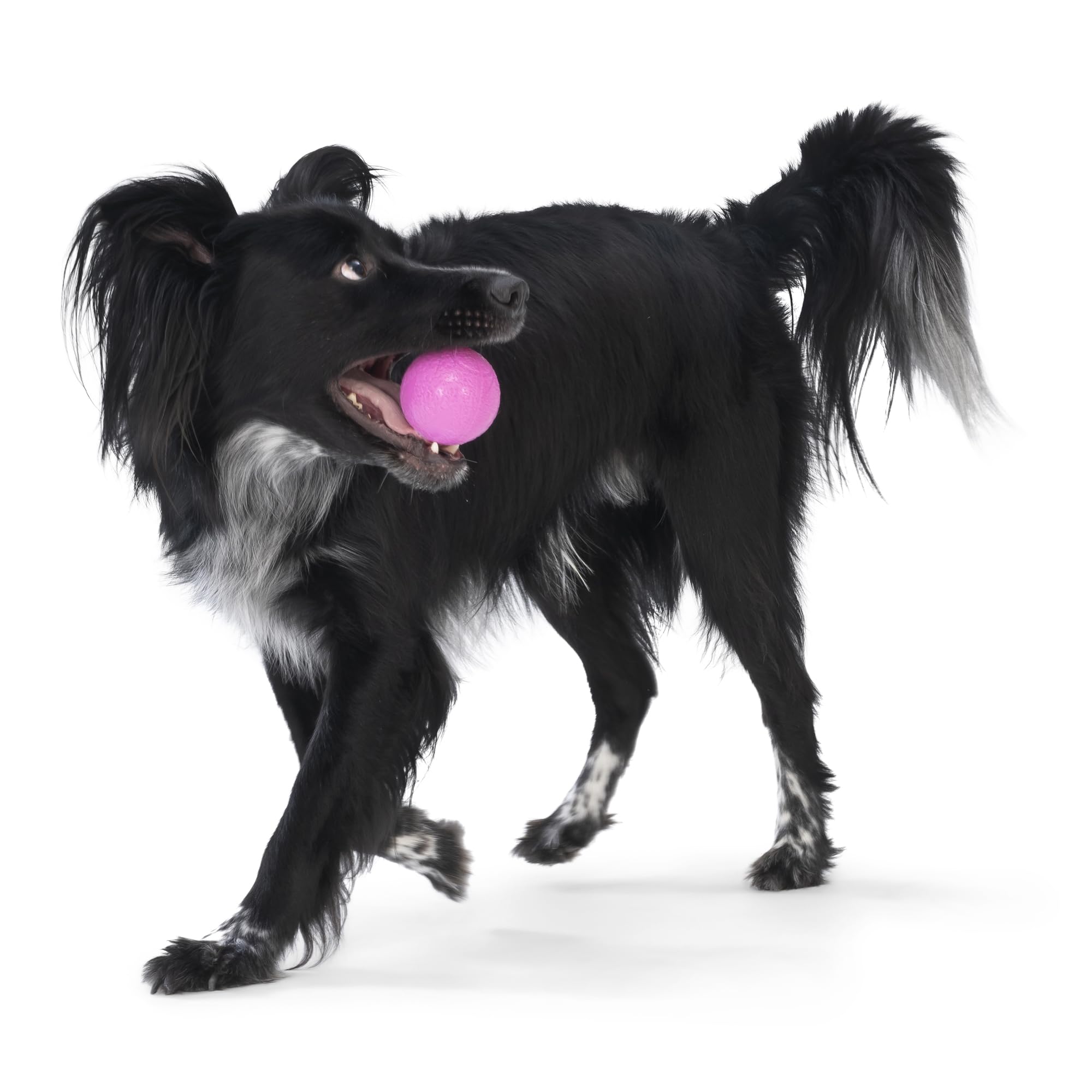 WEST PAW Boundr Ball toy made-in-usa emphasizes dependable quality and safe construction.