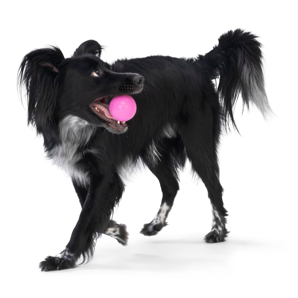 WEST PAW Boundr Ball toy made-in-usa emphasizes dependable quality and safe construction.
