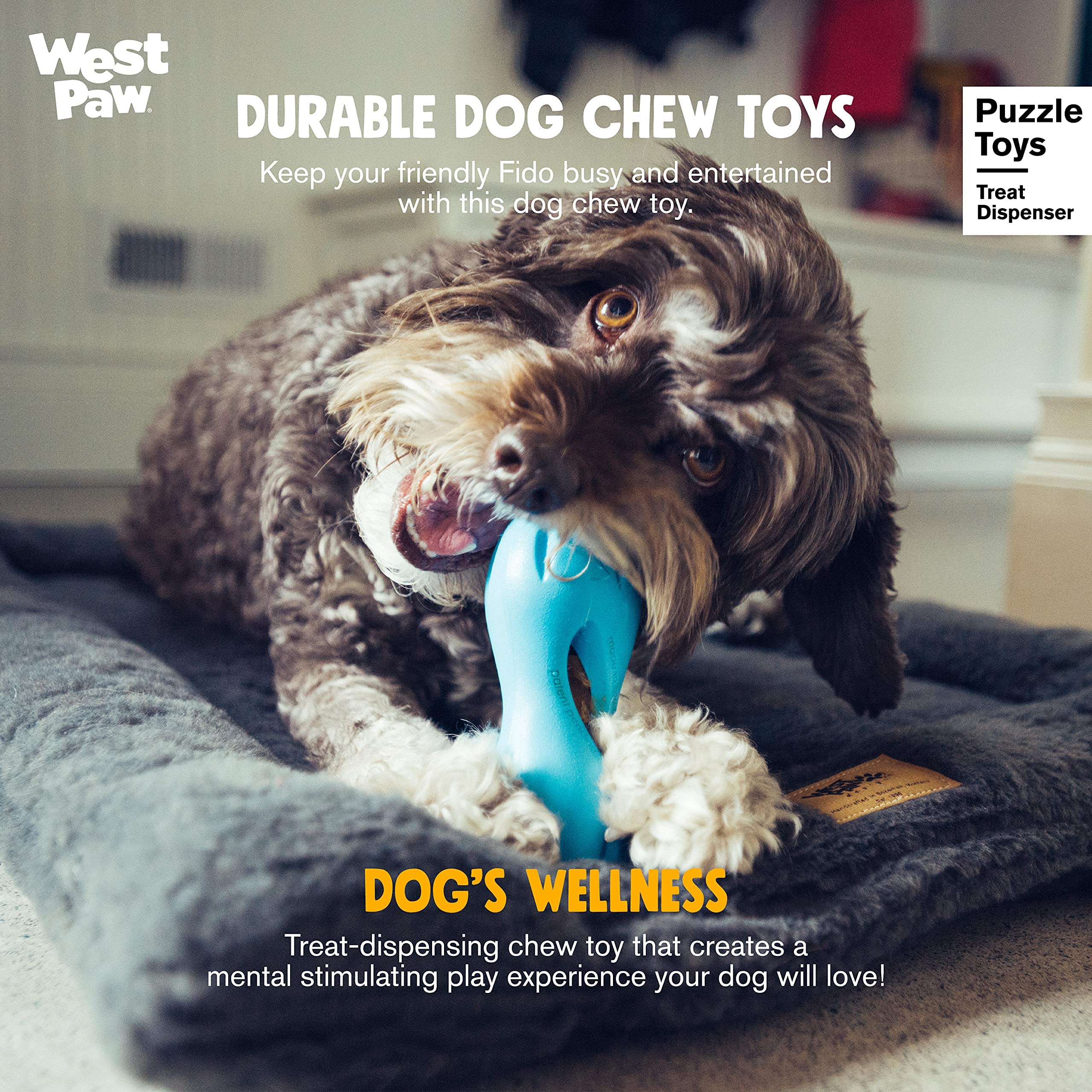 West Paw Wizl Aqua Small dog-interaction shot captures pups playing and scent cues.