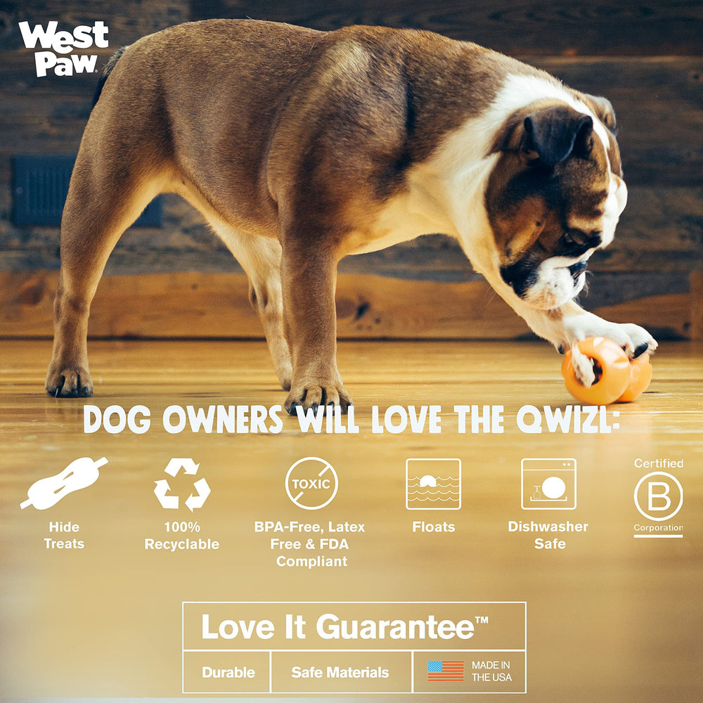 West Paw Wizl Aqua Small treat-discovery view emphasizes hidden treat puzzle for dogs.