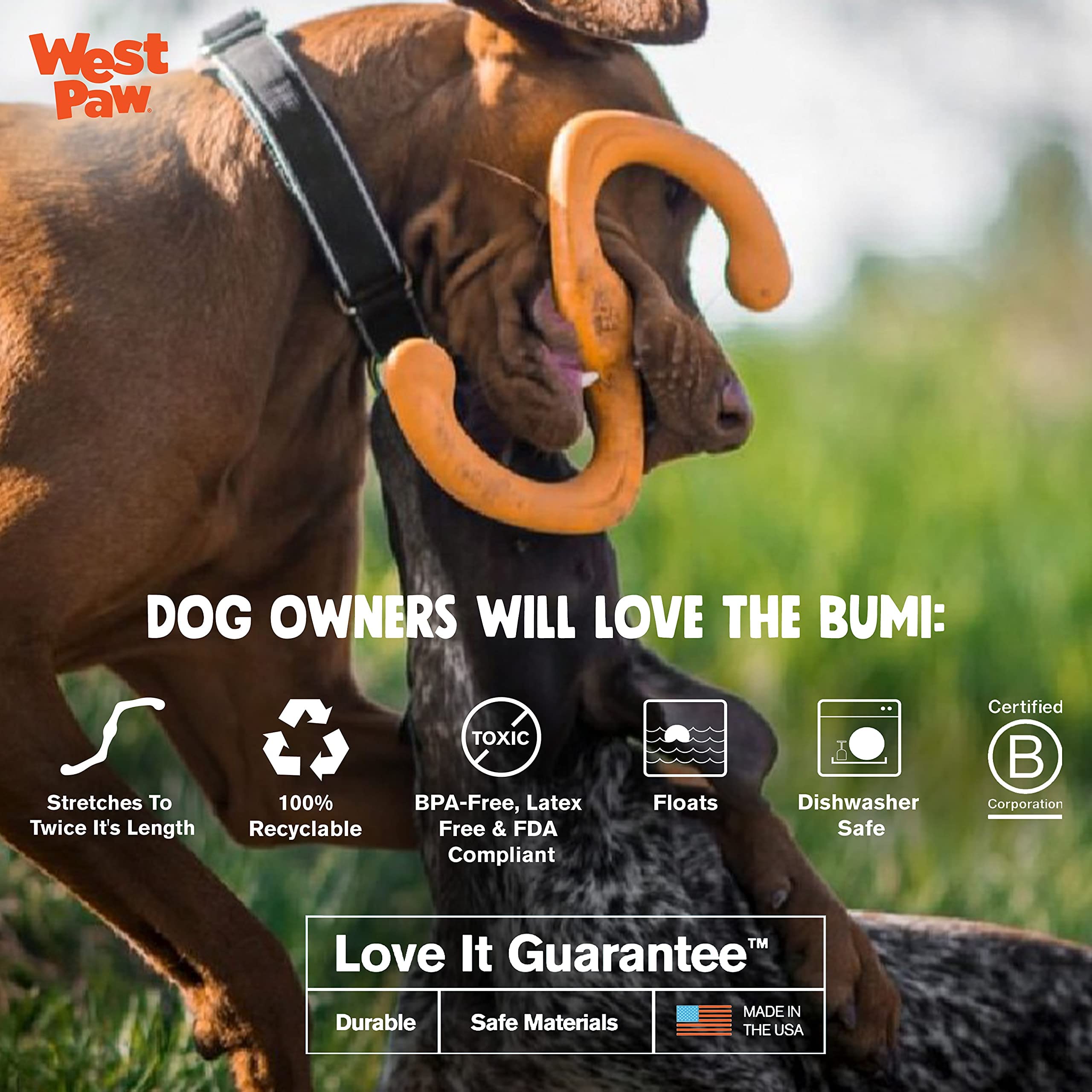 West Paw Zogoflex Bumi image highlights dishwasher-safe cleanup after muddy sessions