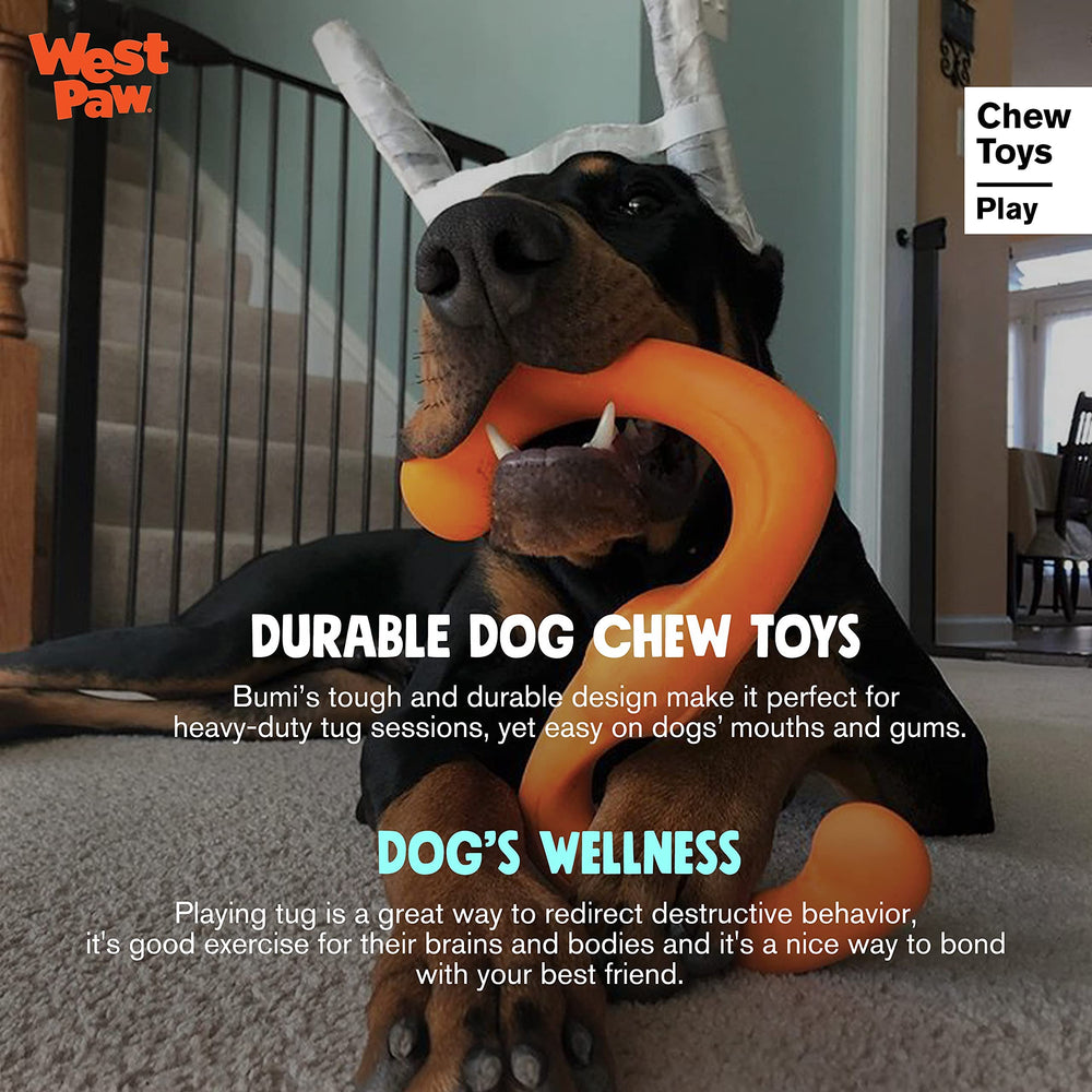 WEST PAW Zogoflex Bumi made in America with recyclable, dishwasher-safe design.