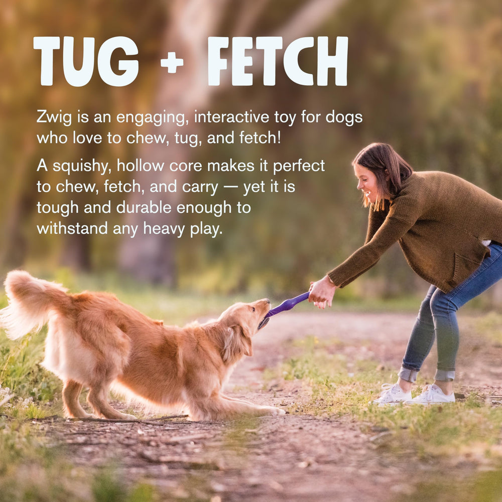 West Paw Zogoflex Echo Zwig safe-clean design is dishwasher safe and non-toxic