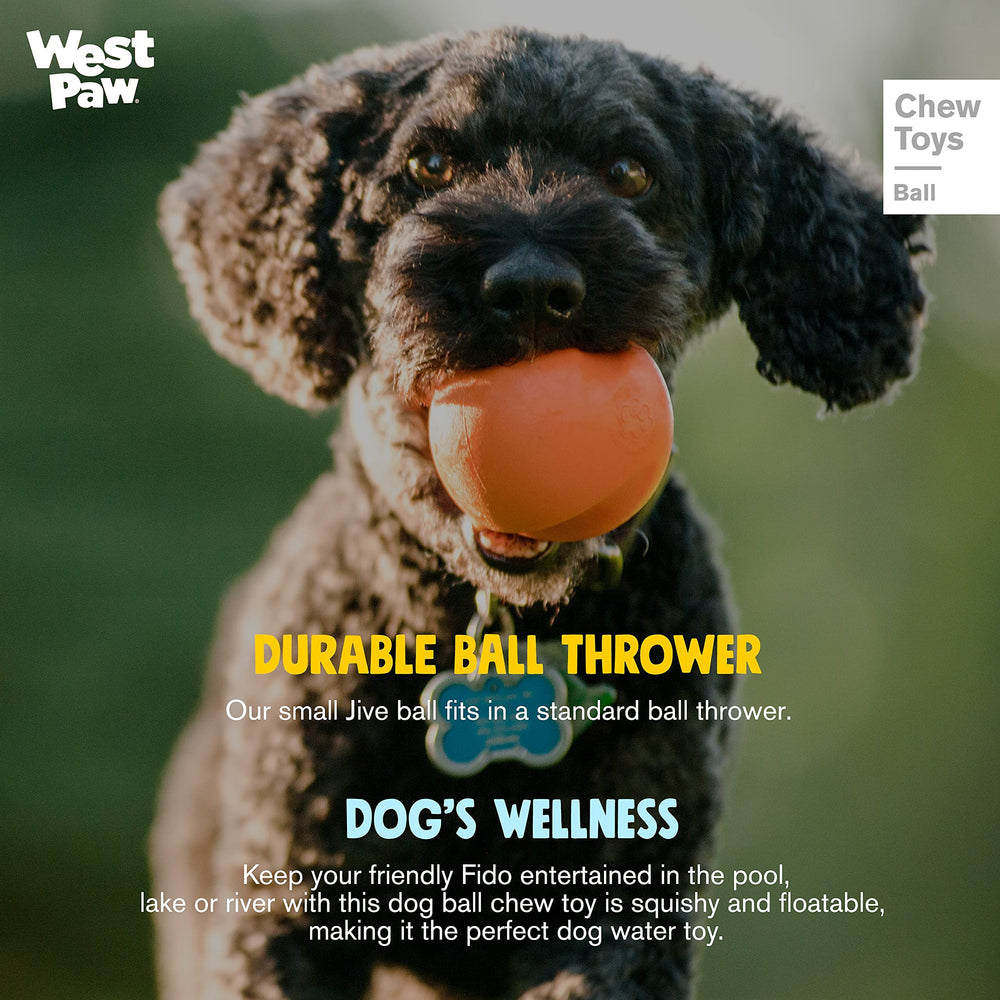 WEST PAW Zogoflex Jive Ball dishwasher-safe for easy cleanup.