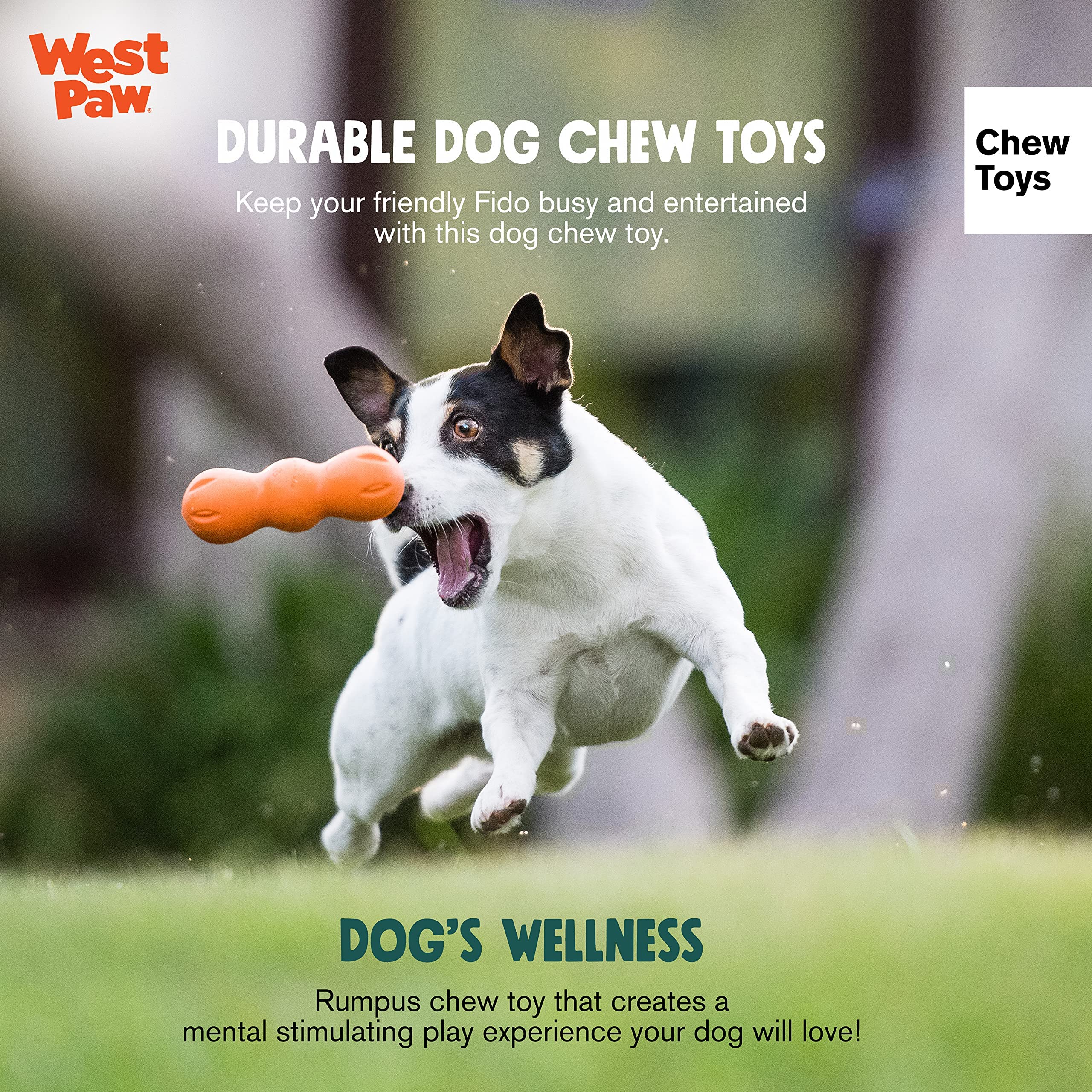 WEST PAW Zogoflex Rumpus dishwasher-safe toy for easy cleaning after chewing