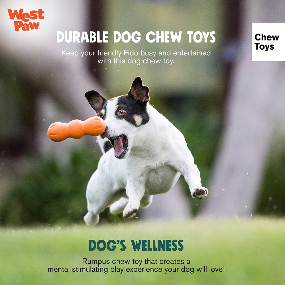 WEST PAW Zogoflex Rumpus dishwasher-safe toy for easy cleaning after chewing