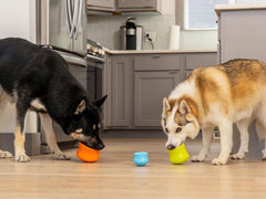 WEST PAW Zogoflex Toppl hidden-treat compartment for brain-teasing enrichment.