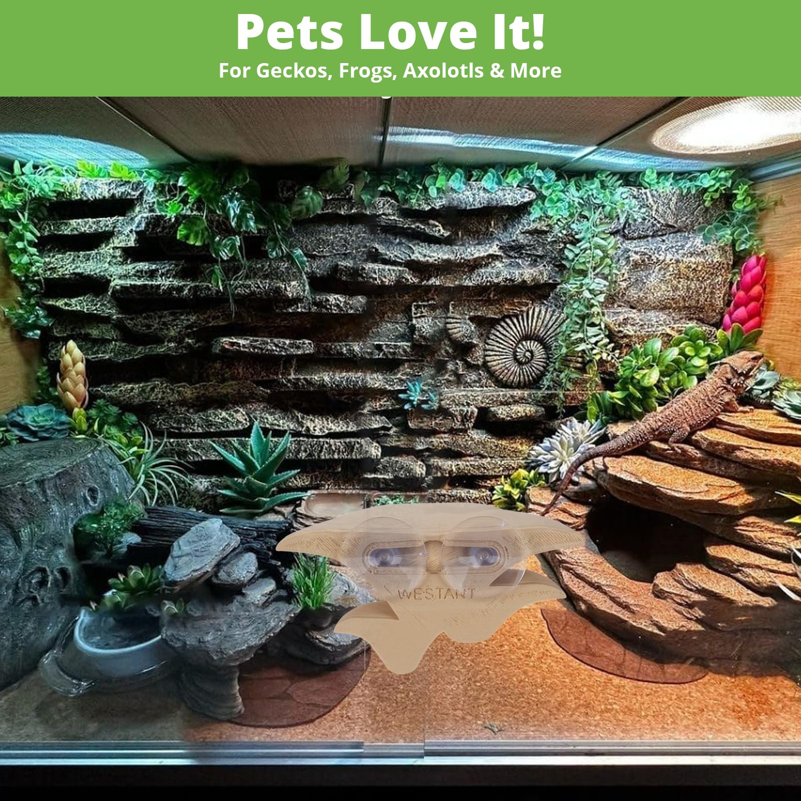 Westant accesorio terrario hongo escondite natural para geckos.