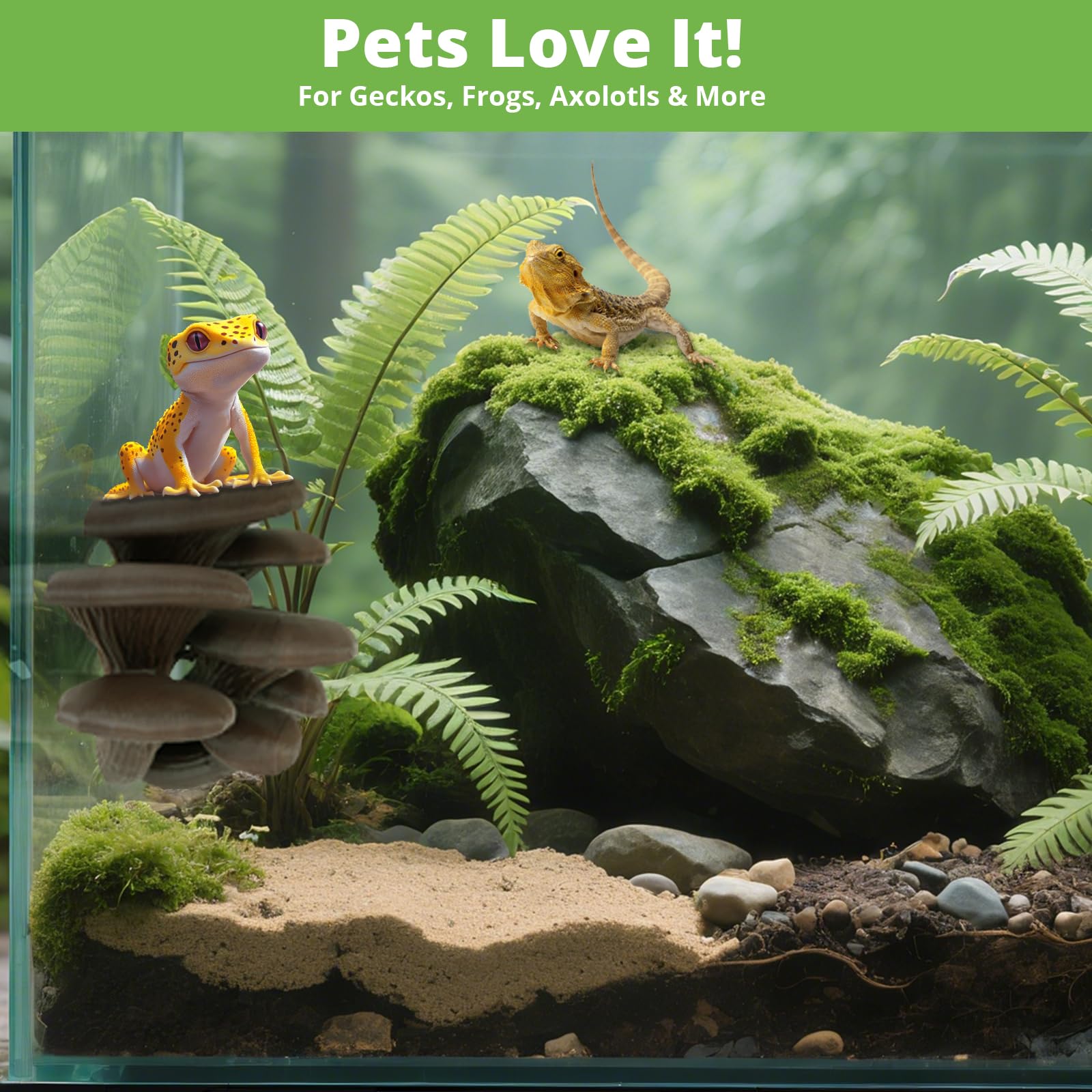 Westant Mushroom Decor snake tank accessory enhances hiding and climbing