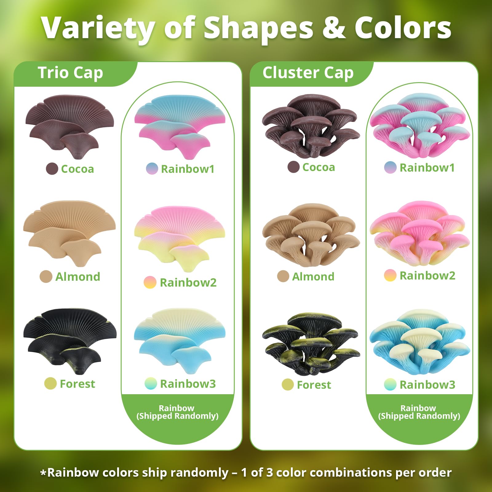 Westant refugio natural ofrece escondites seguros para reptiles.